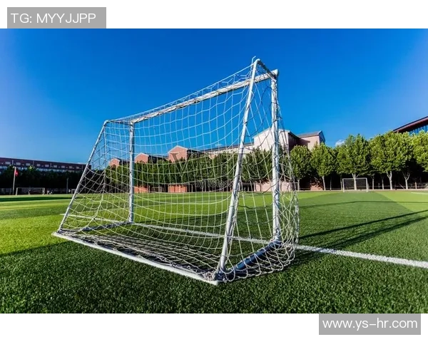 足球球门的构造与功能详解以及在比赛中的重要性分析