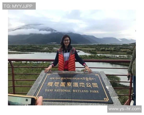 足球飞鹰展翅高飞追逐梦想的旅程与荣耀的赛场故事